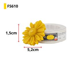 FS610-2
