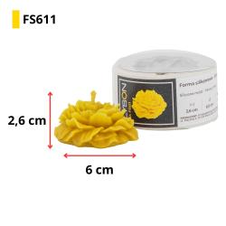 FS611-2