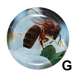 G.jpg